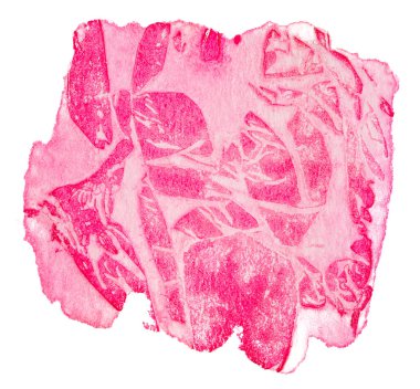 kırmızı suluboya boya dokusu. pembe, mor, mor, siyah, beyaz arkaplan