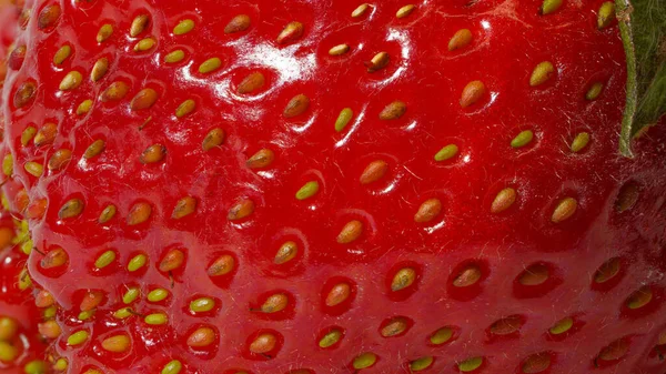 Macro Photo Surface Des Fraises Trop Mûres — Photo