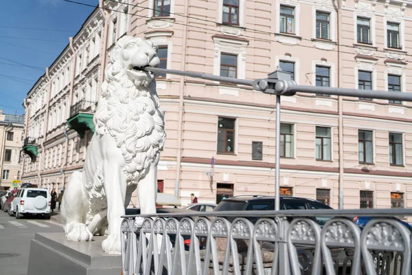 Άγαλμα Λιονταριού Στην Πόλη Στη Γέφυρα Της Αγίας Πετρούπολης — Φωτογραφία Αρχείου