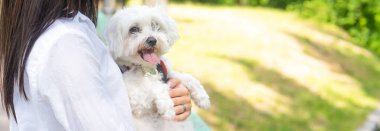 Ev sahibesinin elinde bir köpekle panorama