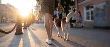Köpek sahibinin yanında yürür. Köpekli sahibi öne doğru yürür. Sokakta..
