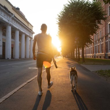 Şehirde bir adam ve bir köpeğin siluetleri. Akşam vakti, altın günbatımı gökyüzünün altında. Açıl. Köpeği olan genç bir adam..