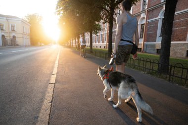 Köpeği tasmayla gezdiriyorum. Sokakta.