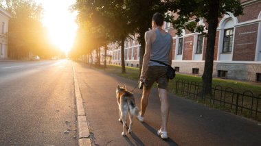 Köpekle birlikte şehir caddesinde yürü. Şehirde gün batımında