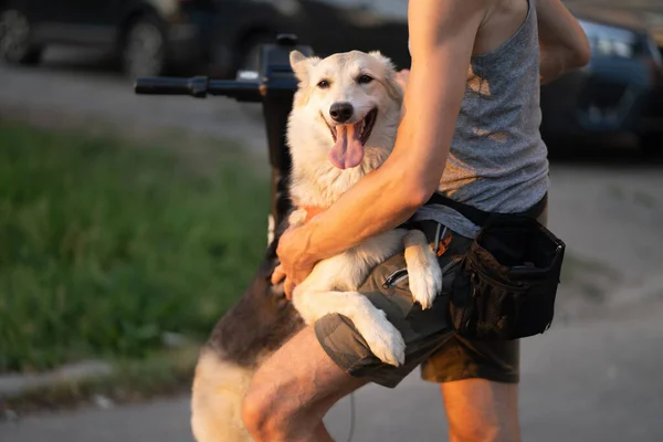 Dog Owner Scooter — Stock Photo, Image