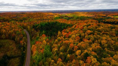 Kuzey Wisconsin Havacılık 'ta Orman Sonbahar Renkleri