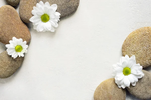 Spa achtergrond met stenen en bloemen — Stockfoto