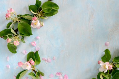 Bahar bloom arka plan