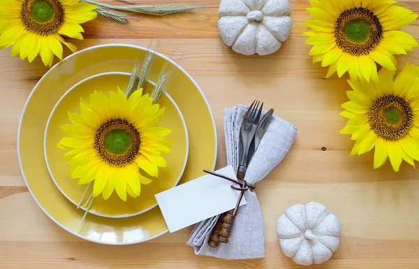 Thanksgiving dinner table setting — Stock Photo, Image