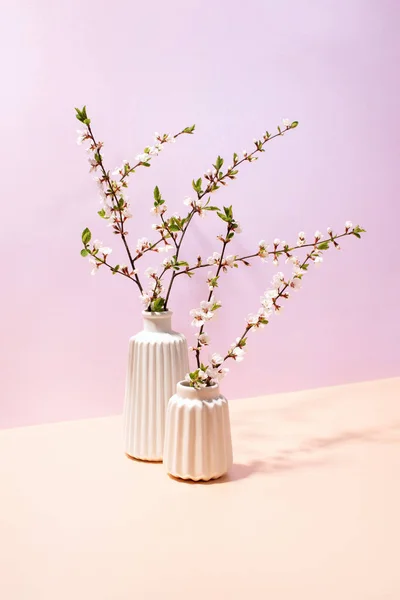 Spring Blooming Branches Vases Front View Floral Minimal Composition Pastel — Stock Photo, Image