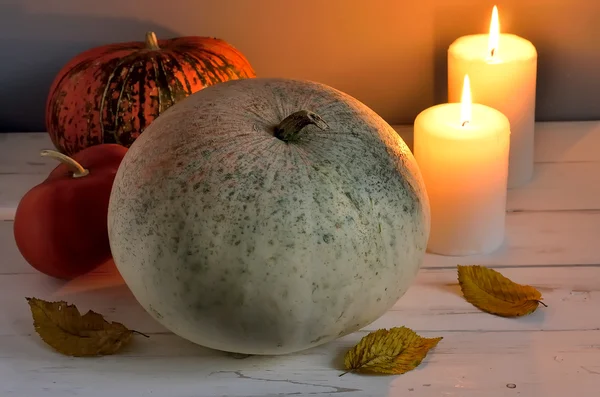 Holiday pumpkin — Stock Photo, Image