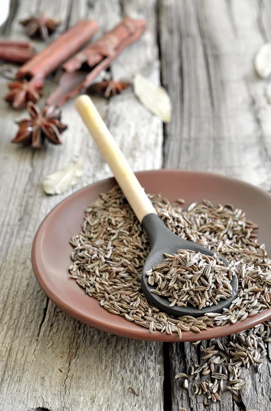 Cumin — Stock Photo, Image