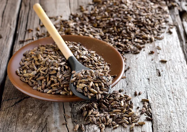 Fermented malt — Stock Photo, Image