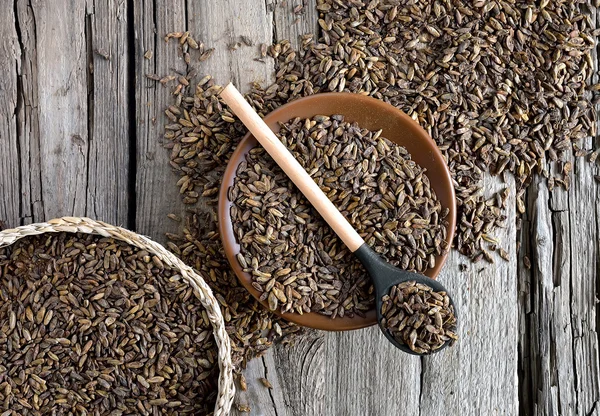 Fermented malt — Stock Photo, Image