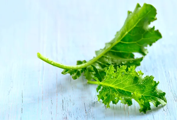 Kale leaves — Stock Photo, Image