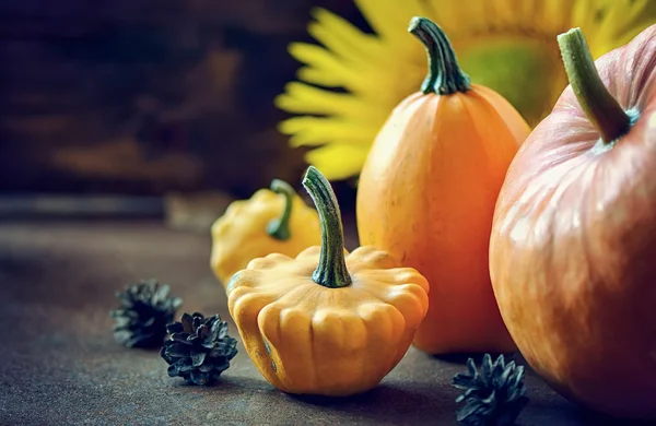 Autumn background — Stock Photo, Image