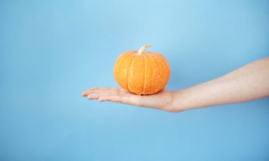 Kızların elinde küçük bir balkabağı. mavi arkaplanda