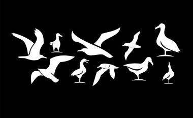 Koleksiyon martı kuş silueti siyah logo simgesi tasarımını izole edilmiş beyaz arkaplan olarak ayarla