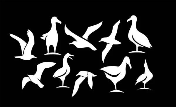 Zestaw Kolekcja Mewa Ptak Sylwetka Czarny Logo Ikona Projekt Odizolowany — Wektor stockowy
