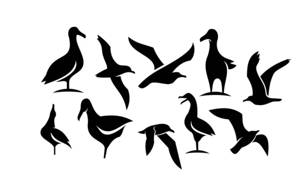 Conjunto Colección Gaviota Pájaro Silueta Negro Logotipo Icono Diseño Aislado — Vector de stock