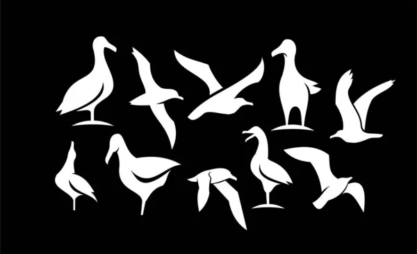 Set Collectie Zeemeeuw Vogel Silhouet Zwart Logo Pictogram Ontwerp Geïsoleerde — Stockvector