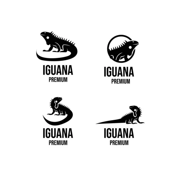Colección Conjunto Iguana Logo Icono Diseño Ilustración Vector — Vector de stock