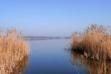 Cennetin karşısındaki gölde bir sazlık.