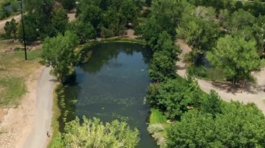 Ağaçlar arasındaki gölet manzarası