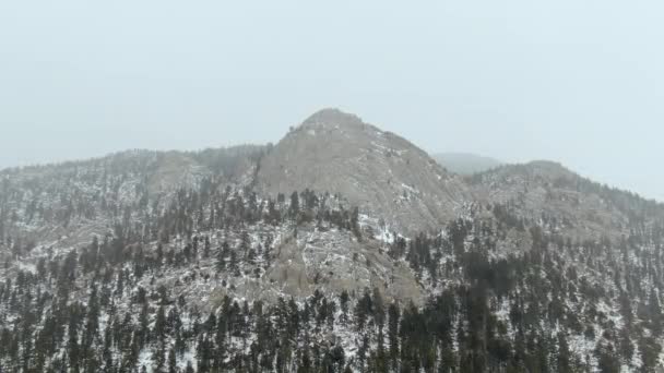 Aerial Bergwald Mit Schnee Bedeckt — Stockvideo