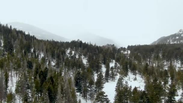 Aerial Winterliche Berglandschaft — Stockvideo