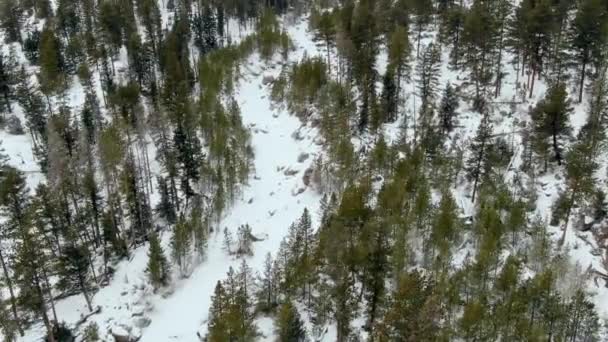 Aerial Bergwald Winter — Stockvideo