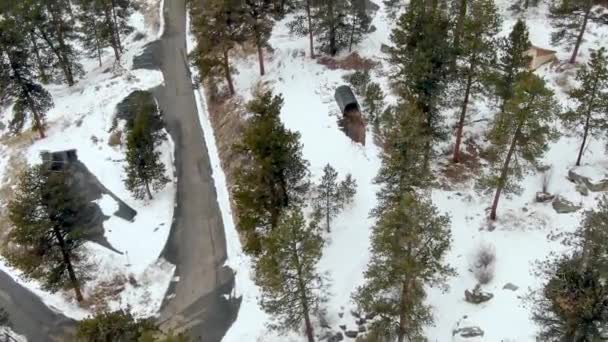 Aerial Straße Durch Schneebedeckten Bergwald — Stockvideo