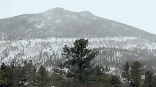Aerial Paysage Hivernal Montagne — Video