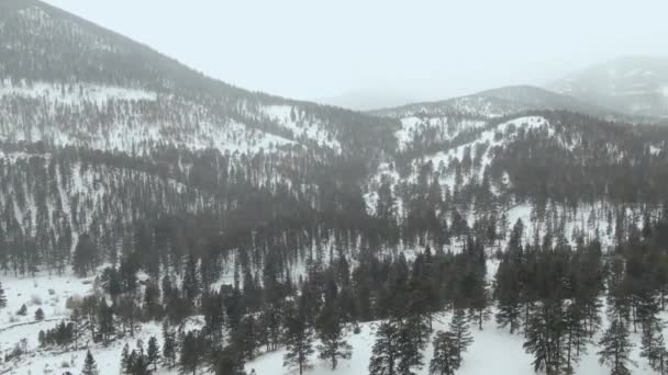 冬日的山景 — 图库视频影像