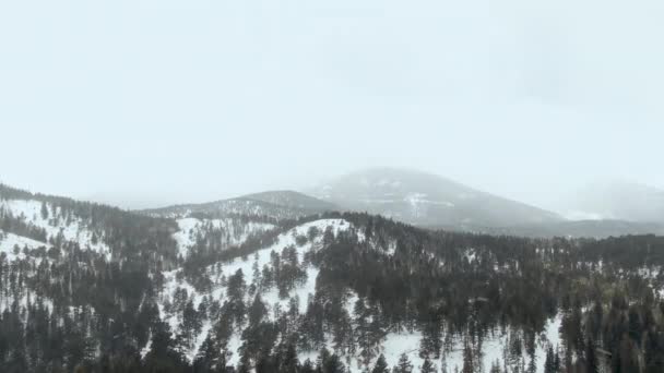 Aerial Blick Auf Den Berg Einem Wintertag — Stockvideo