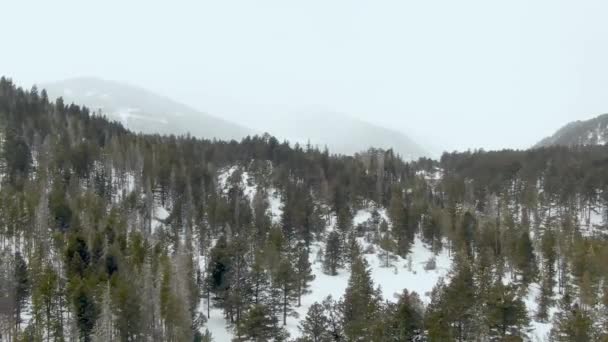 Aerial Blick Auf Den Berg Einem Wintertag — Stockvideo
