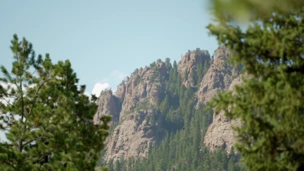 Niedriger Blickwinkel Auf Berge Und Bäume — Stockvideo
