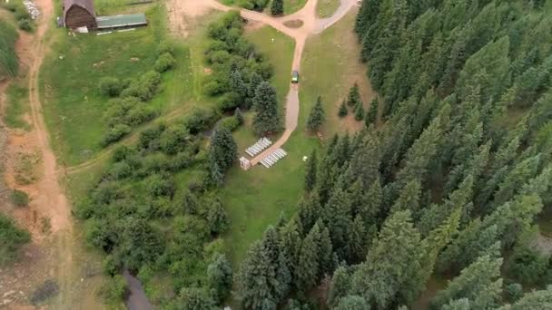 Aerial Overhead Syn Frodig Vintergrön Skog — Stockvideo