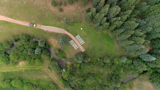 Aerial Vista Aérea Exuberante Floresta Perene — Vídeo de Stock