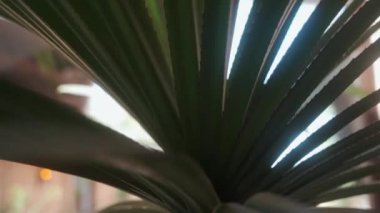 İşlemci Yaprakları kapat