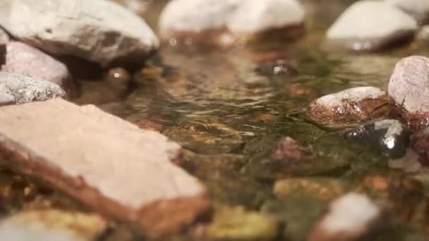 水と石のCu閉鎖 — ストック動画
