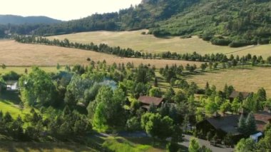 WS AERIAL Otelin ve ağaçların görüntüsü