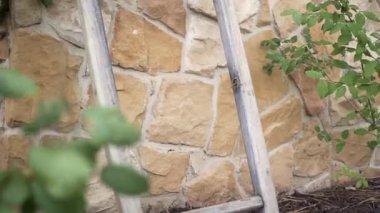 Kahverengi taş duvarda tahta merdiven