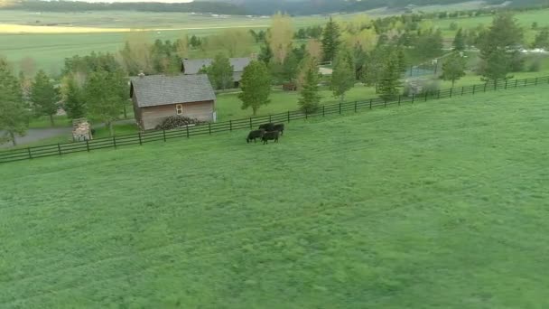 Landscape Rural Scene — Stock Video