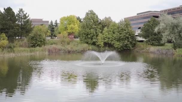 Landscape Dengan Kolam Dengan Air Mancur Tengah — Stok Video