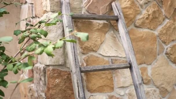 Escada Madeira Contra Parede Pedra Marrom — Vídeo de Stock