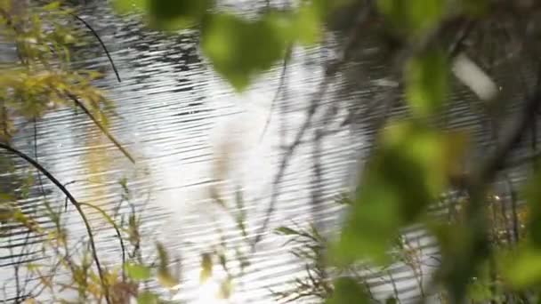 Вид Озеро Ветками — стоковое видео