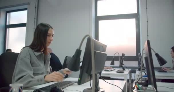 Mujer Negocios Que Trabaja Oficina Con Sus Colegas Detrás — Vídeos de Stock