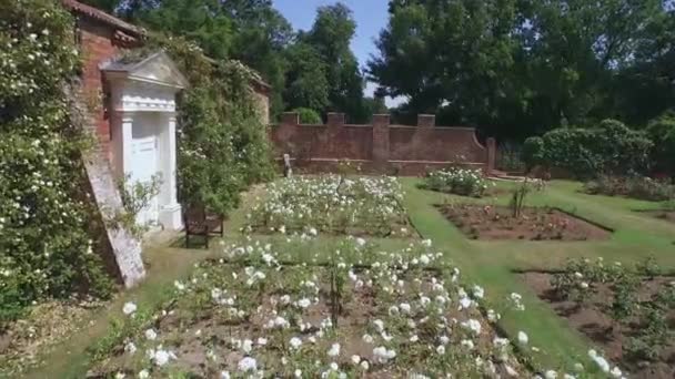Stabilizované Záběry Zahrady Květinami Leicester Anglie Velká Británie — Stock video