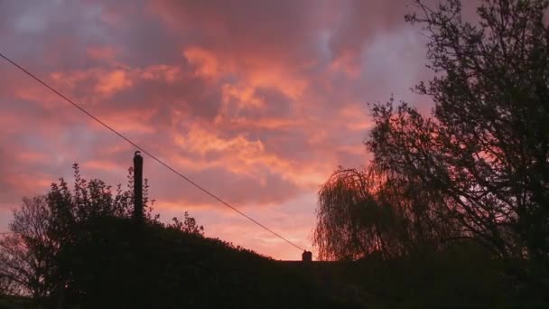 Cielo Árboles Rosados Atardecer Londres Inglaterra Reino Unido — Vídeo de stock